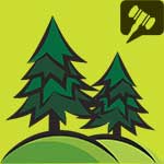 kasvava metsa oksjon