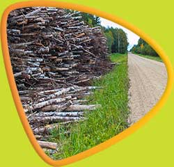 virnastatud v&otilde;sa ost